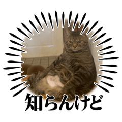 kana_20231215170003