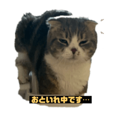 shose_20231215175014