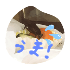 Maya_20231215175357