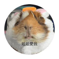 姐姐與我的生活