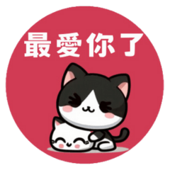 Cute and warm-hearted tuxedo cat New