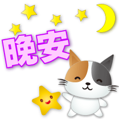 Cute Calico cat - happy and practical