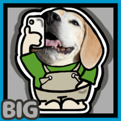 ビーグル犬BIG 2