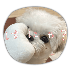 YUKA_20231215204150