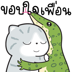 Munkaew Funny Cat V.4