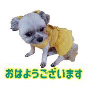 kanappe_20231215180556