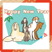 Sighthound dog2024