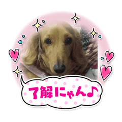 Sunny_20231215214742