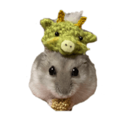 hamu-mochi family_20231215220621