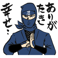 decent ninja