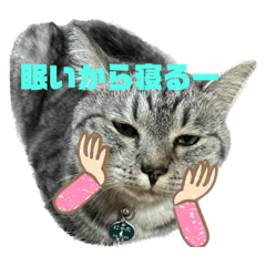 yuka_20231216222500