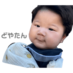 ruitantan_20231216232856