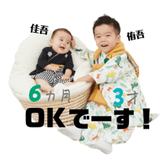 TAEMI_20231216232427