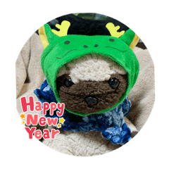 kobutanokituneko_20231215190230
