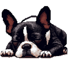 Pixel Art French Bulldog Black White