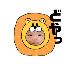 maya_20231217134824