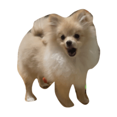 happp_20231217162220