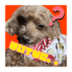 Lameru_20231217164224