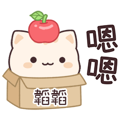 Star_Cat2_00871_TAO TAO