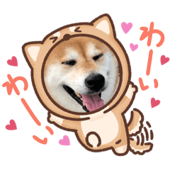 Tanaka_20231217204532