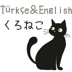Turkish and English - Black cats