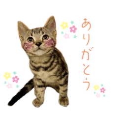 yuuko_20231217201254