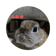 poccha_20231217213952