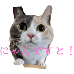 komikenyan_20231217220552