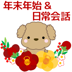 To you who like toy poodle Year-end