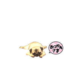 puku_20231217220646