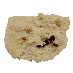 Food Series : Multigrain Bread (Bun) #1