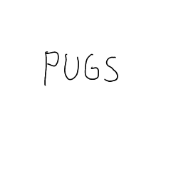 PUGS0723
