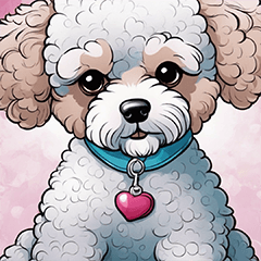 Toy poodle puppy behavior