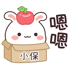 JOJO_Bunny1_00921_SIAO BAO