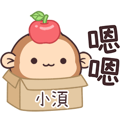 POPO_Monkey1_00924_SIAO