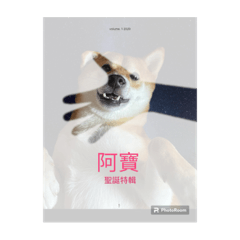 阿堡堡
