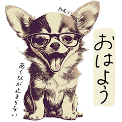 Chihuahua daily lifestamp
