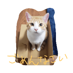 momomax_20231218215740