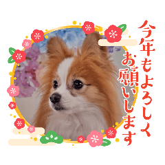 yuka_20231218215334
