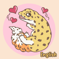 Leopard gecko everyday (English)