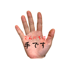 chiyo_20231218232149