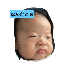 free_20231219095319