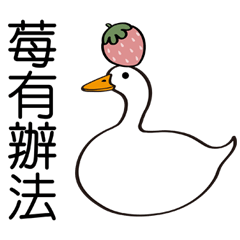 鴨箱寶˙草莓諧音篇