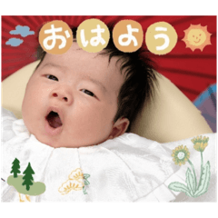 sakura_20231219183434