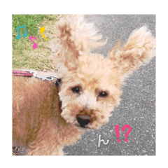 nao_20231219153906
