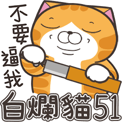 白爛貓51☆腦有動☆