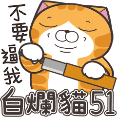 白爛貓51☆腦有動☆
