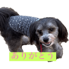 yuka_20231219205028