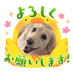 まろstamp①