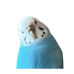 Uhf_20231219225941